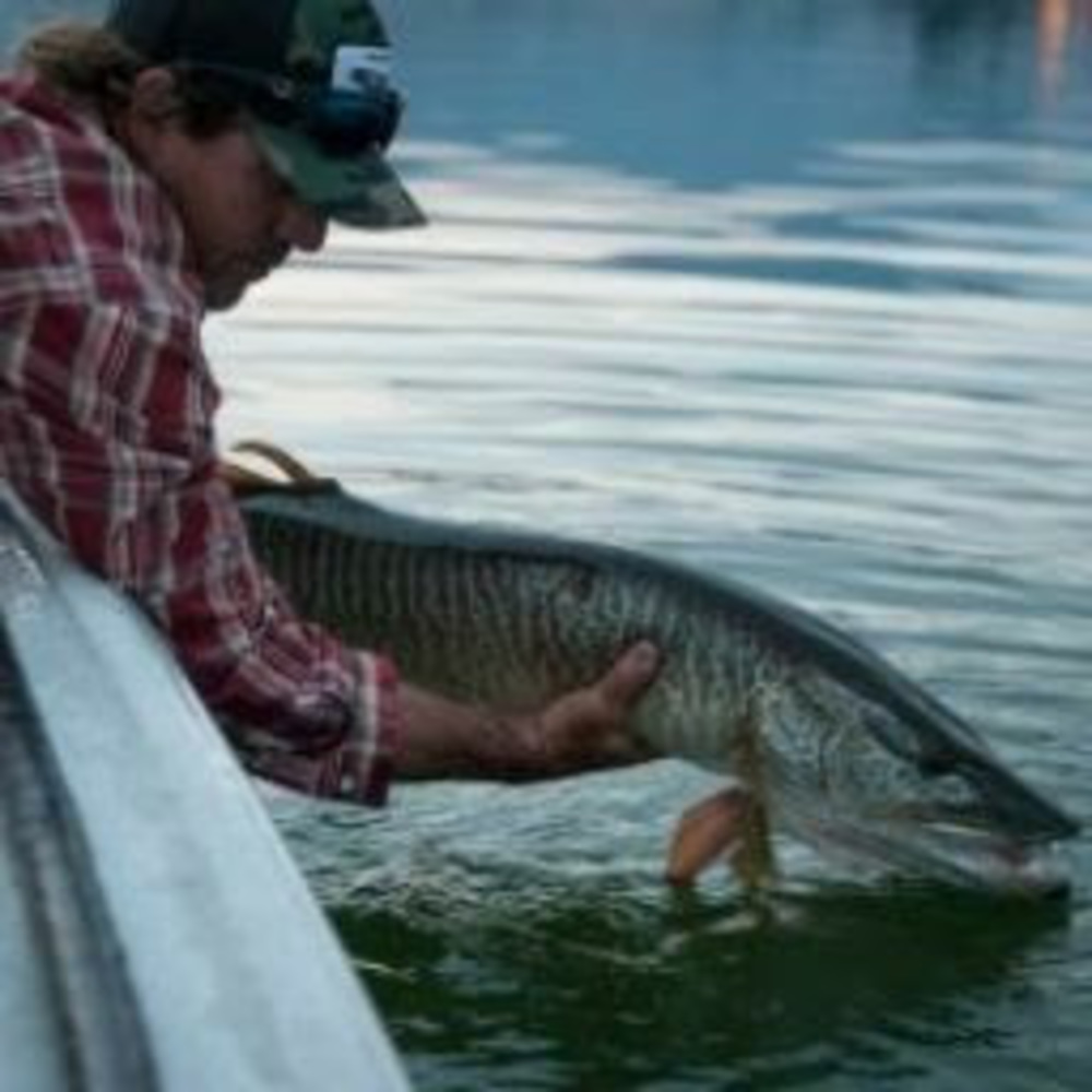 Meet your Posher, Musky